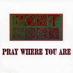 Lost Dogs - Pray Where You Are
