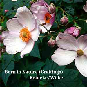 Markus Reineke, Frank Wilke - Born In Nature (Graftings)