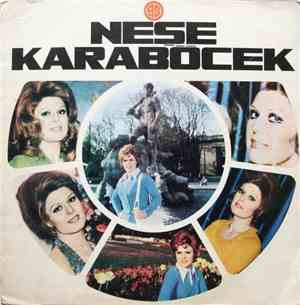 Neşe Karaböcek - Neşe Karaböcek