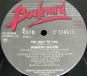 Robert David - The Way To You