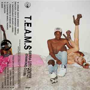 T.E.A.M.S - Sierra City Center (Diamond Club)