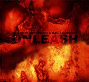 Zbigniew Karkowski & Daniel Menche - Unleash