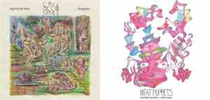 Cass McCombs Vs. Meat Puppets - Tour Single