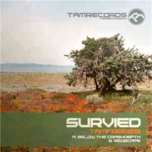 Survied - Below The Crashdepth / Geoscape