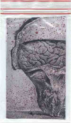 Slowlistener / Century Plants / Terrortank - My Mind Is Blind