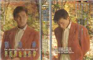 Andy Lau - The Dream That I'm Dreaming Of 我和我追逐的夢