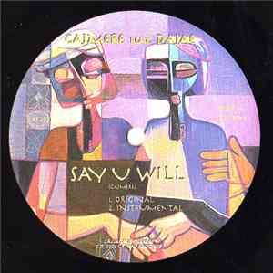 Cajmere Feat. Dajae - Say U Will