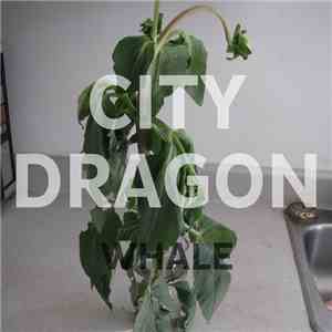 city dragon - Whale