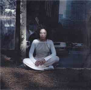 Martina Topley-Bird - Quixotic