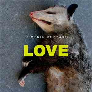 Pumpkin Buzzard - Love