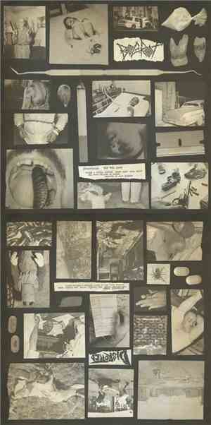 Disrotted / Bogrot - Disrotted / Bogrot