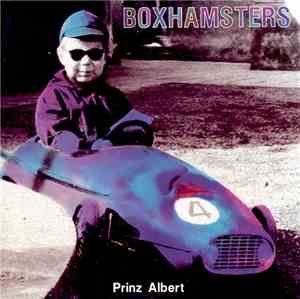Boxhamsters - Prinz Albert