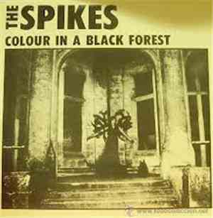 The Spikes - Colour In A Black Forest