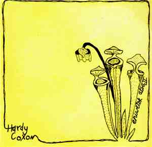 Hardy Coxon - Eniwetok Atoll II