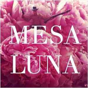 Mesa Luna - Shutting Down