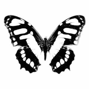 Synths Versus Me - Goodbye Horses