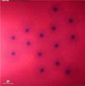 Bottin - Discocracy Revisited