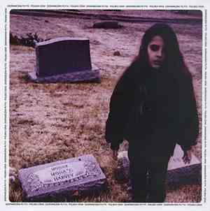 Crystal Castles - Crystal Castles