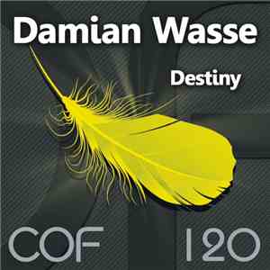 Damian Wasse - Destiny