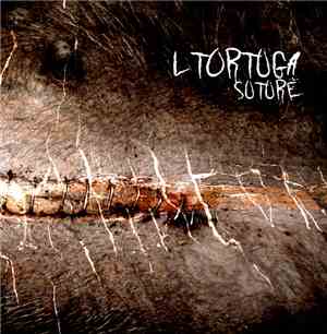 L Tortuga - Suture