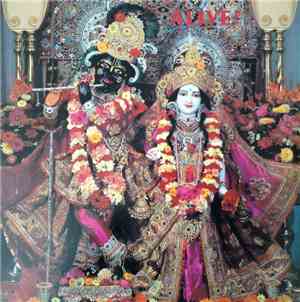 Rasa  and The Family Krishna - Alive!