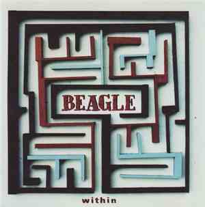 Beagle  - Within