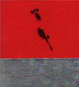 Sindre Bjerga And Joe+N - Slow Collapse / Building Nature
