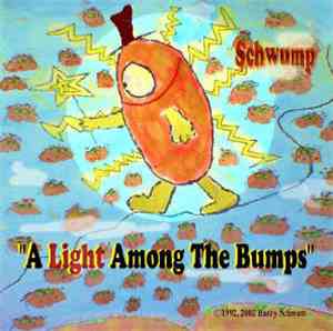 Schwump - A Light Among The Bumps