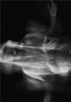 Shtyro - Live Vile