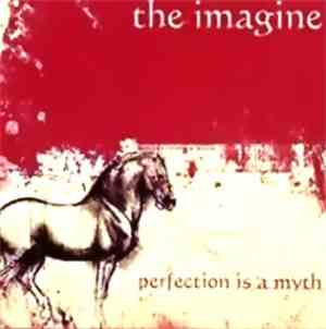 The Imagine - Perfection Is A Myth