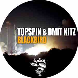 Topspin & Dmit Kitz - Blackbird
