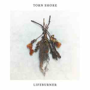 Torn Shore - Lifeburner