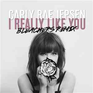 Carly Rae Jepsen - I Really Like You (Bleachers Remix)