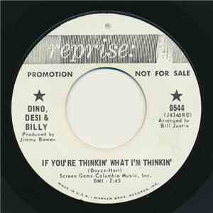 Dino, Desi & Billy - If You're Thinkin' What I'm Thinkin' / Pretty Flamingo
