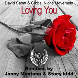 Global Niche Movement, David Sabat - Loving You Remixes