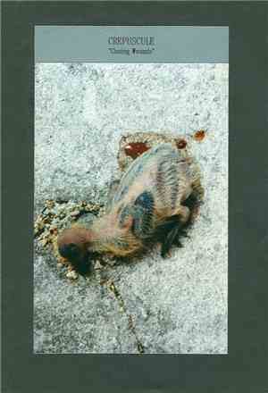 Crepuscule - Closing Wounds