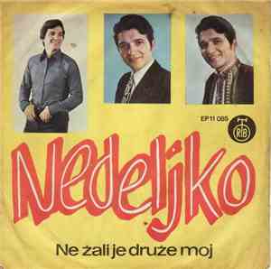 Nedeljko - Ne Žali Je Druže Moj