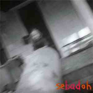Sebadoh - Rocking The Forest