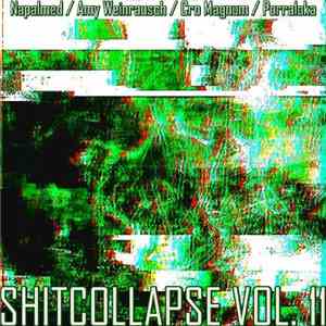 Napalmed / Amy Weinrausch / Cro Magnum / Porraloka - Shitcollapse Vol. 11