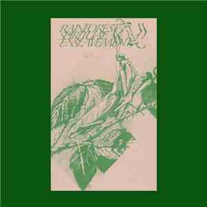 Rainforest Spiritual Enslavement - Fallen Leaves Camouflaged Behind Tropica ...