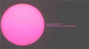 Pregnant Spore - Remixes Red Electric Rainbow