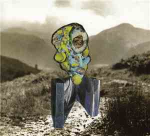 Richard Dawson - The Glass Trunk