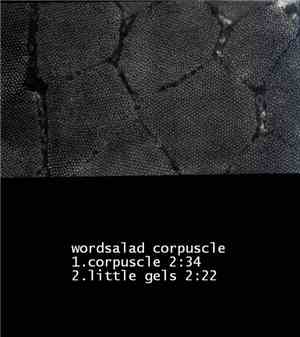 WordSalad - Corpuscle