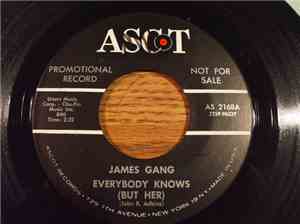 James Gang - Everybody Knows (But Her) / Ladies Man