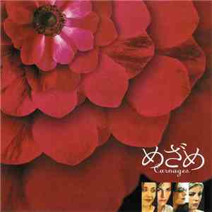 Various - Carnages (Bande Originale Du Film)