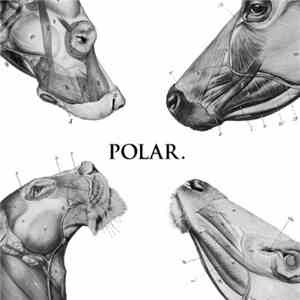 Polar. - This Polar Noise