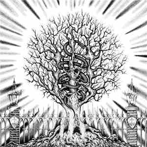 In The Company Of Serpents - Ain​-​Soph Aur