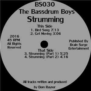 The Bassdrum Boys - Strumming