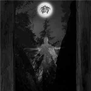Taatsi - Amidst The Trees