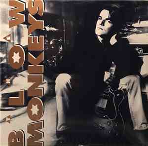 The Blow Monkeys - Some Kind Of Wonderful